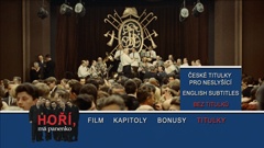 Subtitles