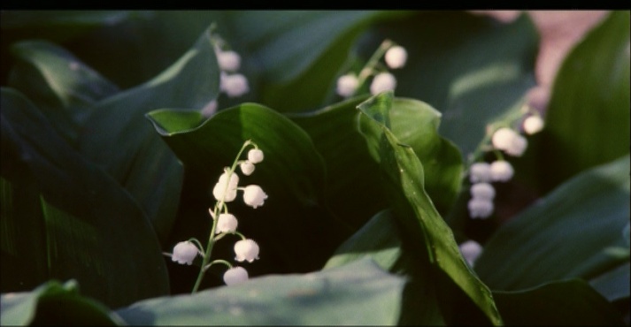 MOKÉP Videó / One Plus One (frame 17597)