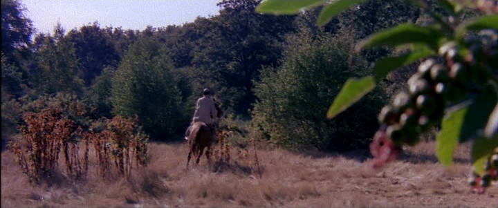 Noshame Films (frame 56061)