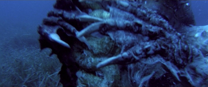 Noshame Films (frame 86979)