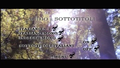 Audio & subtitles