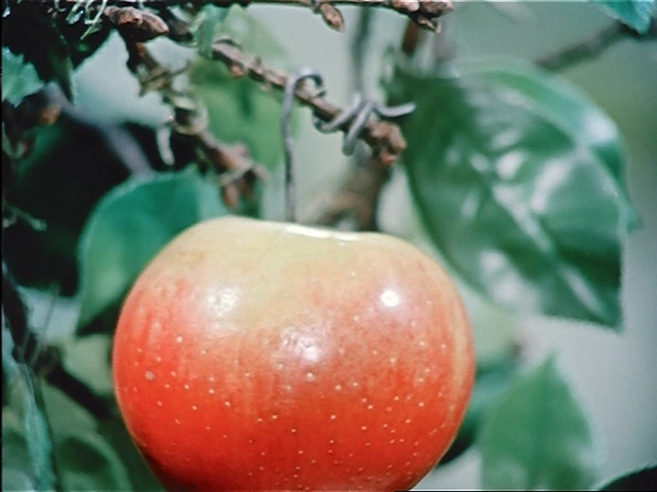 BFI (frame 5709)