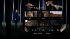 Chapters