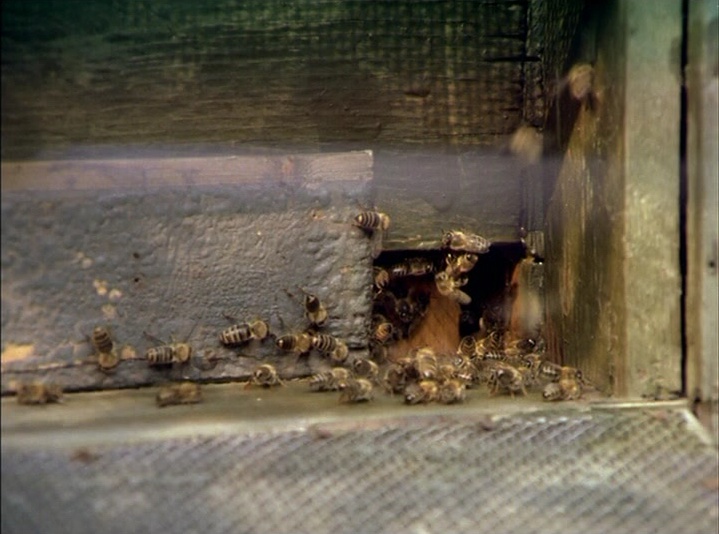 SFI & The Daily SME (frame 16396)
