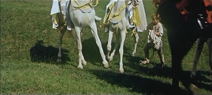 Atypfilm (frame 15413)