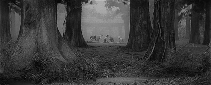 Levné knihy KMa / Filmhouse (frame 160416)