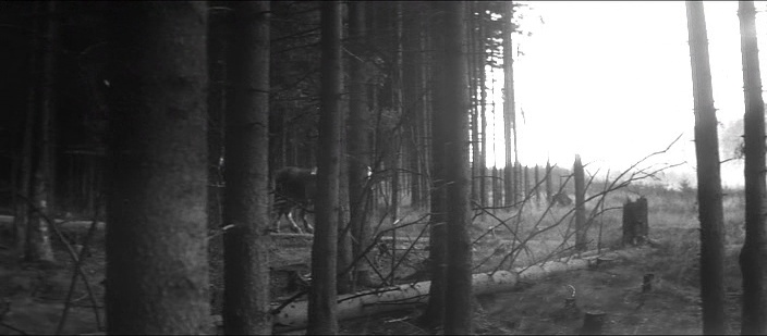 CČV/Bonton (frame 12092)