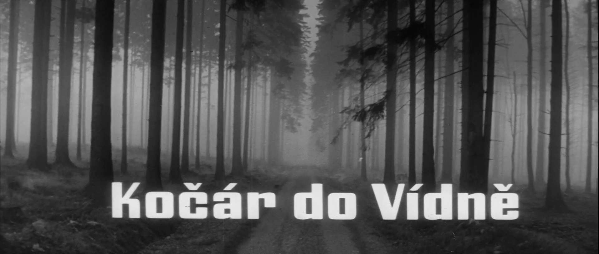 ČT2 / Streaming Media (frame 259)