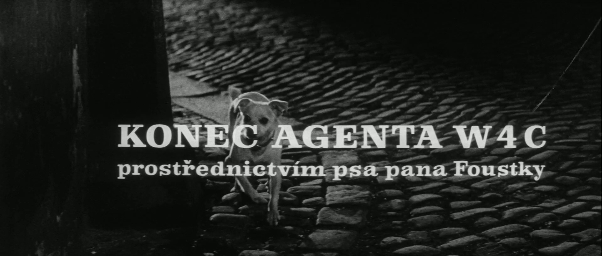 ČT1 HD DVB (frame 4774)