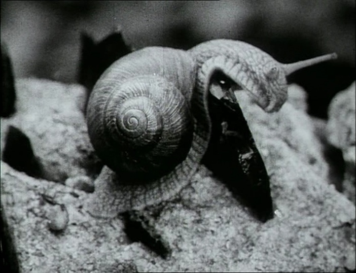 BFI (frame 2936)