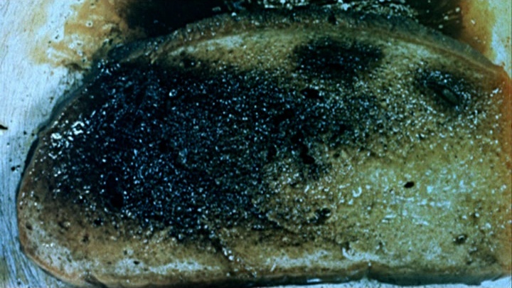 SFI & The Daily SME (frame 139084)