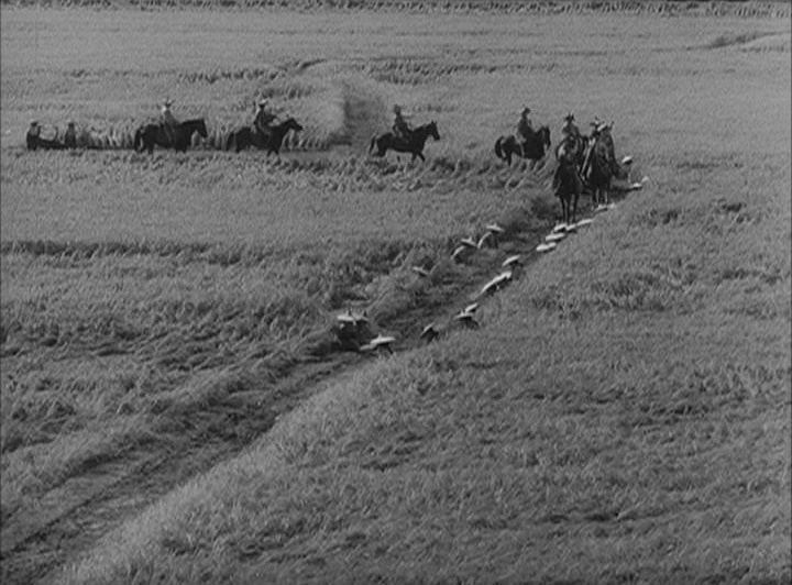 Levné knihy KMa / Filmhouse (frame 50147)