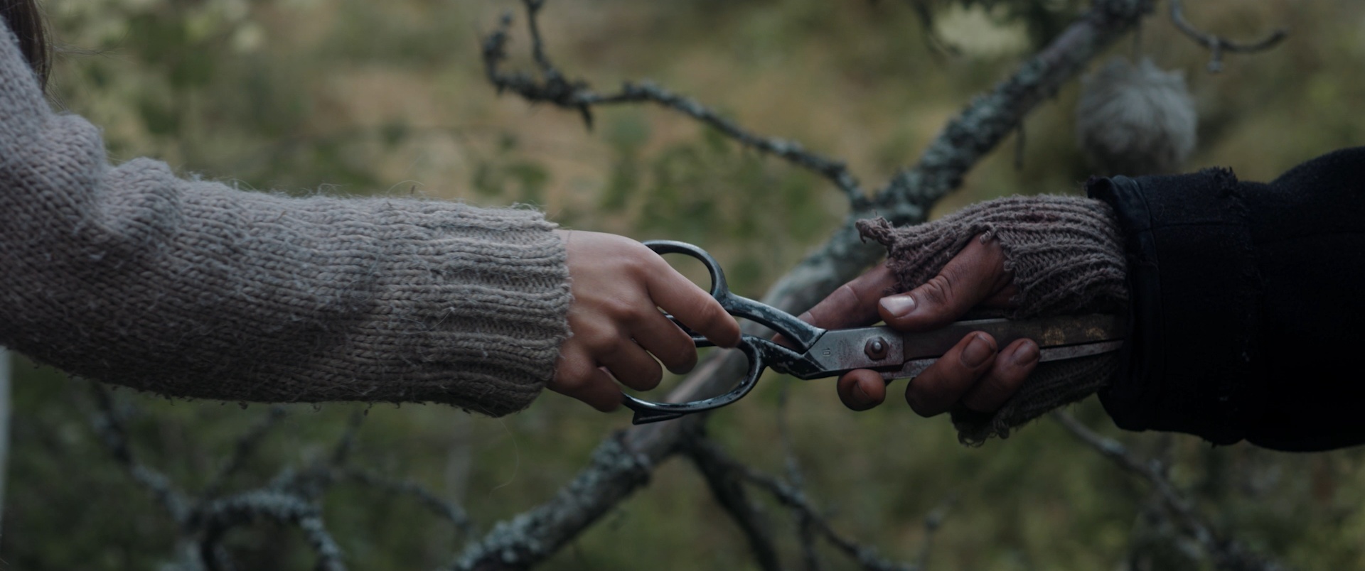 Elokuvapalvelu J. Suomalainen / Blu-ray (frame 118435)