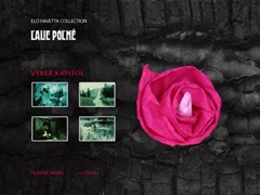 Scene selection