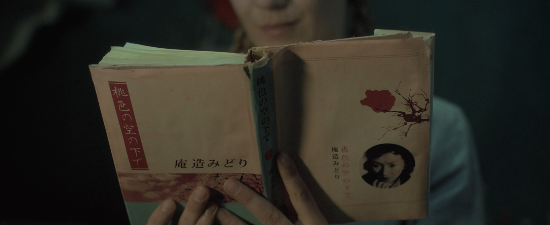 Pro Video / Blu-ray (frame 5138)