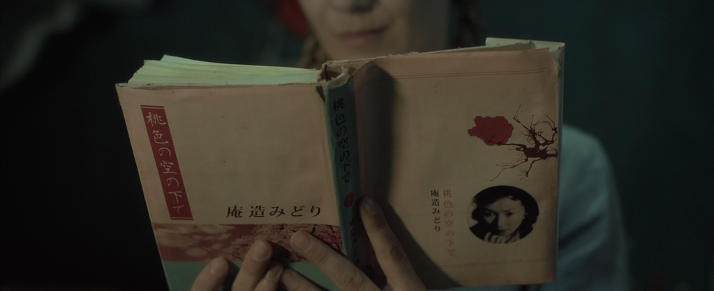 Pro Video / Blu-ray (frame 5138)