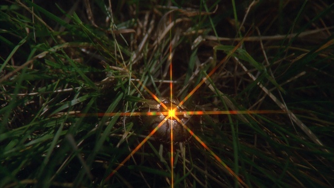 Svensk Filmindustri (frame 59404)