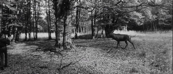 Second Run (snímek 219650)