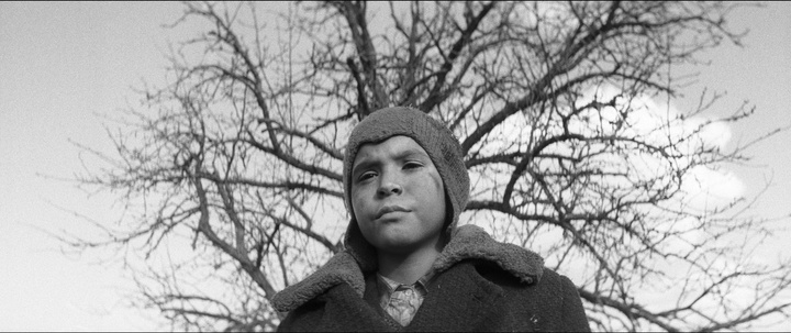 Magic Box / Blu-ray (frame 17904)