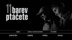 Subtitles