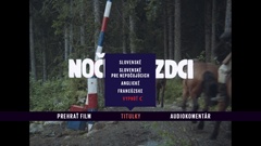 Subtitles