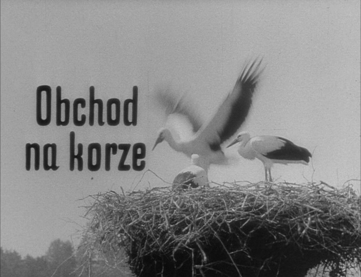Criterion Collection (frame 1245)