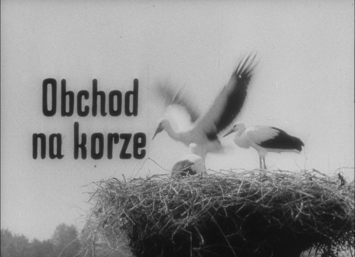 Second Run / Blu-ray (frame 634)