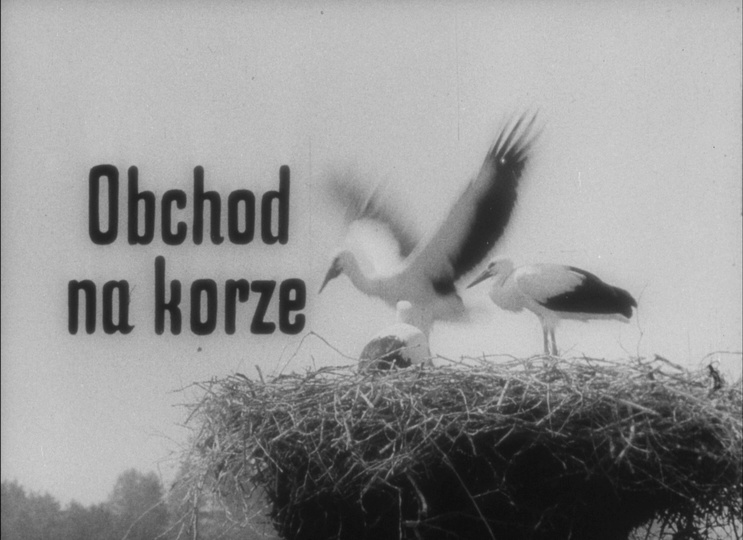Second Run / Blu-ray (frame 634)