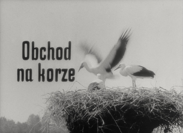 The Czech Film Foundation / Blu-ray (frame 791)