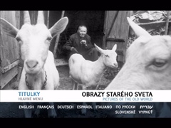 Subtitles