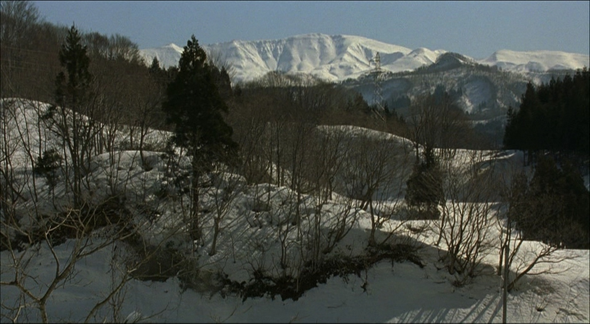 CN Entertainment (frame 2120)