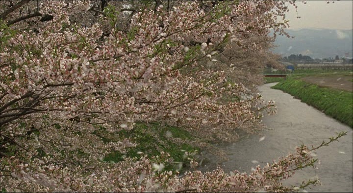CN Entertainment (frame 157350)
