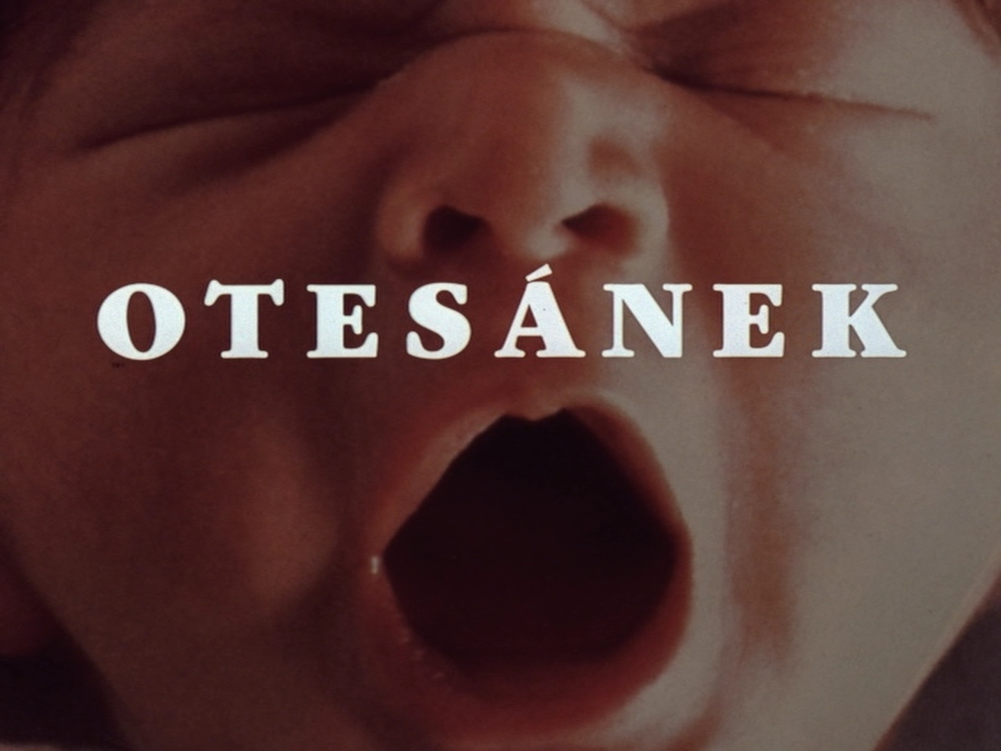 Athanor / The Films of Jan Švankmajer (frame 907)
