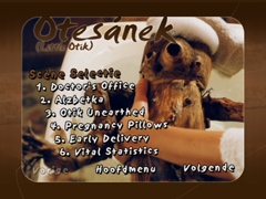 Scene selection