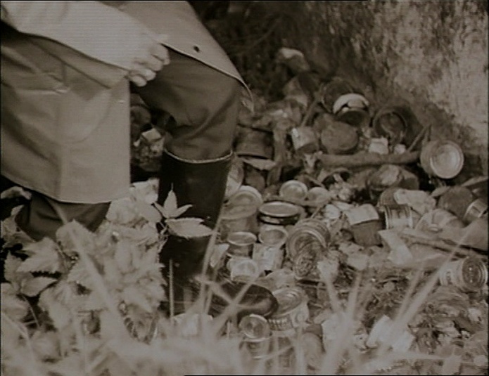 BFI (frame 12003)