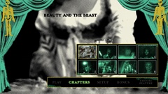 Chapters