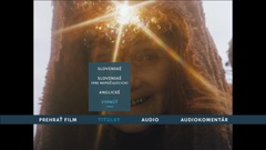 Subtitles