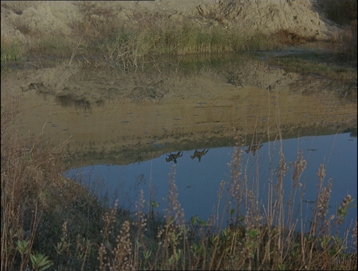 KOCH Media (frame 93520)