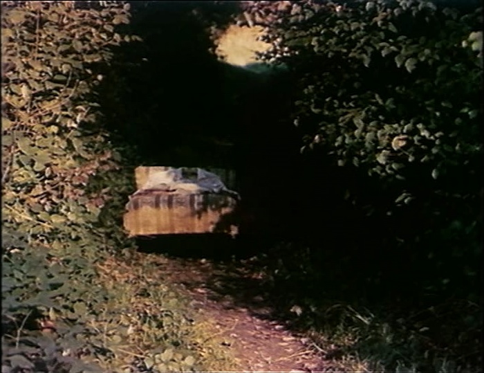 BFI (frame 10466)
