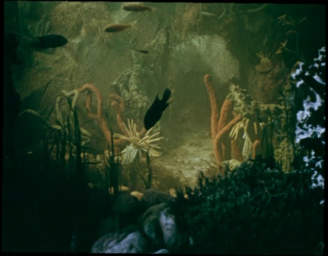 Řitka Video (frame 71023)