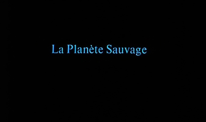 Arte Vidéo (frame 791)