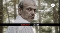 Menu language selection