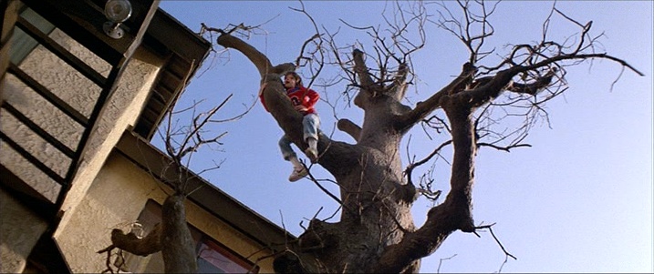 Warner Home Video (frame 16633)