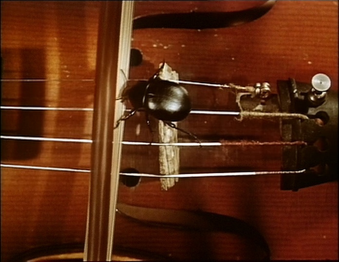 BFI (frame 10595)
