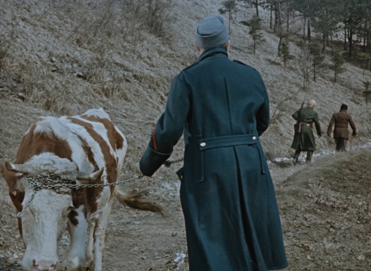National Film Archive / Blu-ray (frame 70043)