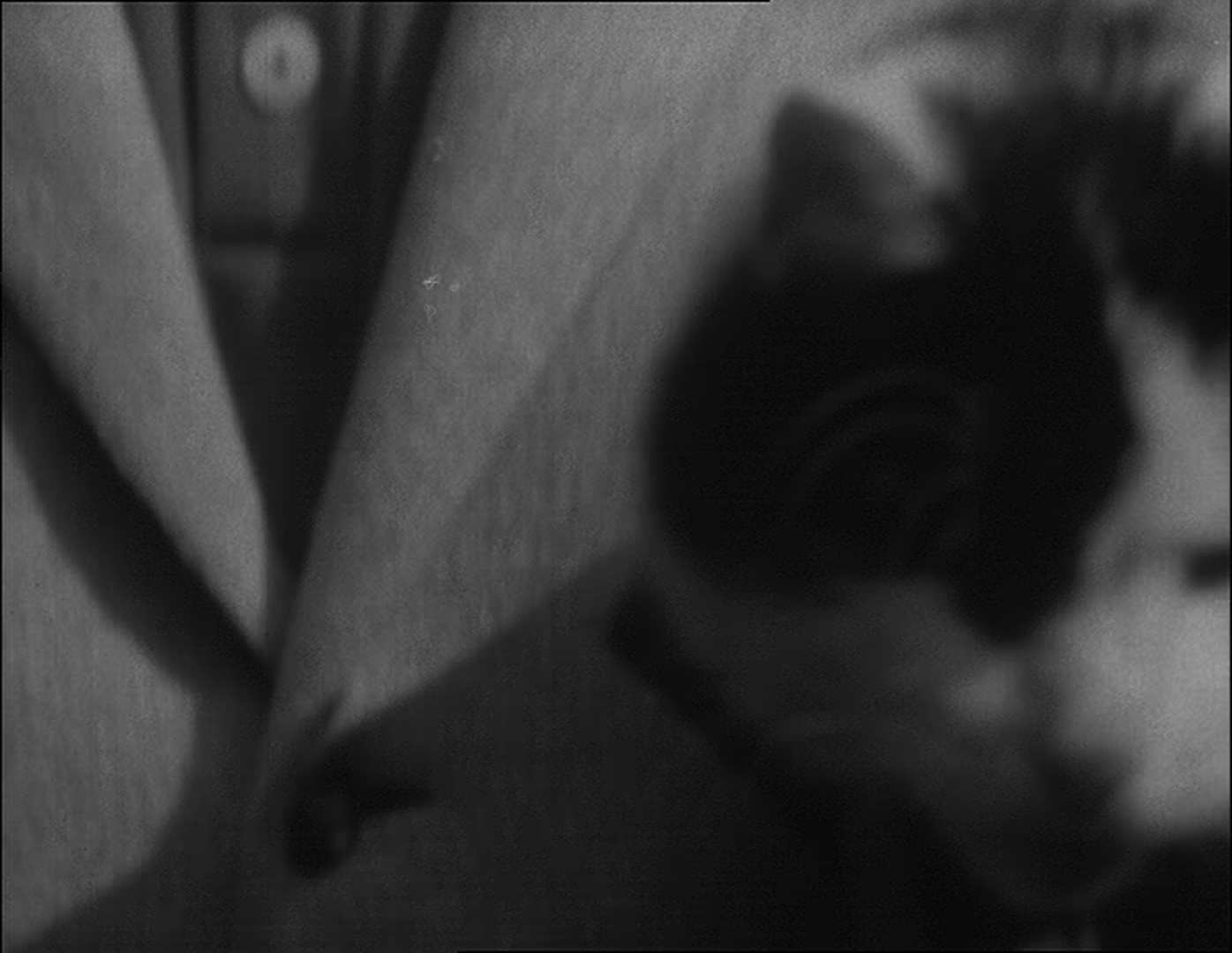 Second Run (frame 51519)