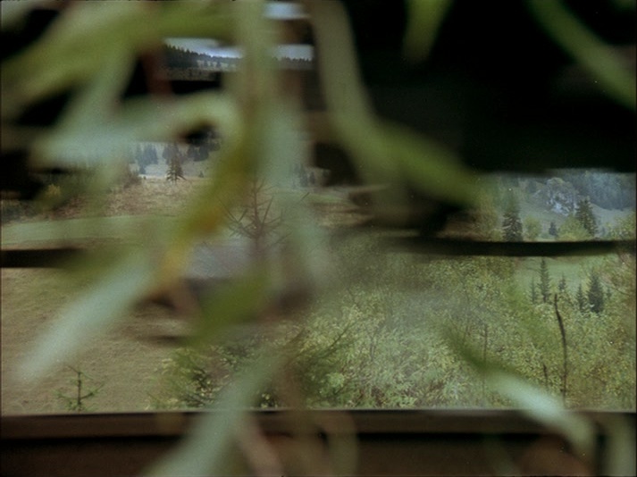 SFI & The Daily SME (frame 15578)