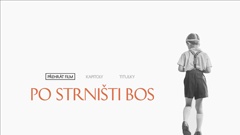 Main menu