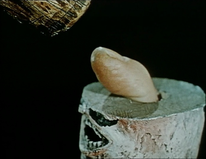 BFI (frame 13465)