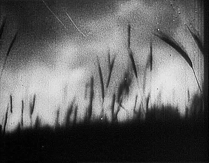 Filmexport Home Video (frame 7151)